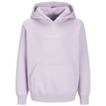 JACK & JONES Duks sa kapuljačom za dečake JORVESTERBRO0