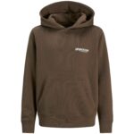 JACK & JONES MINI Pamučni duks za male dečake JCOUNION braon